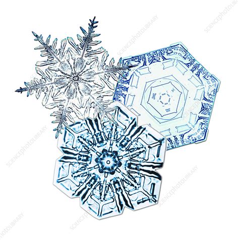 Snowflakes Stock Image C0174265 Science Photo Library