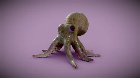 Baby Octopus Download Free D Model By Nataliedesign F Sketchfab