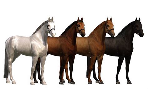 Equus Sims Cc Database The Sims 3 Pets Sims Medieval Sims Cc
