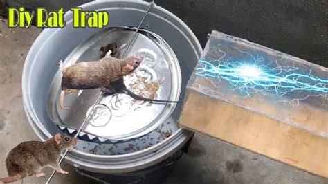 Diy Rat Trap Mice In Trapped Hour Mouse Rat Trap How To Make Rat Trap House Mice