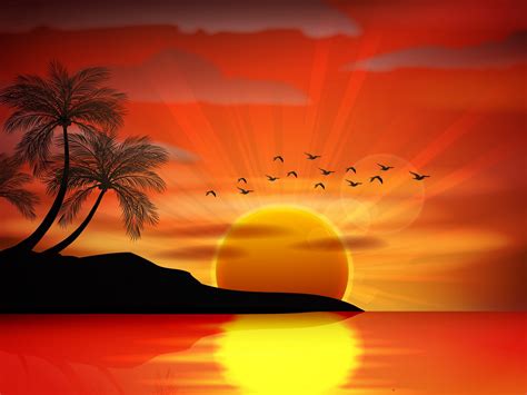 Sunset Sea Paradise Tropical Island Palms Silhouette Birds