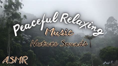 Peaceful Relaxing Music Asmr Meditation Music Nature Sounds Youtube