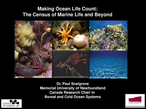 Making Ocean Life Count The Census Of Marine Life And Beyond Ppt