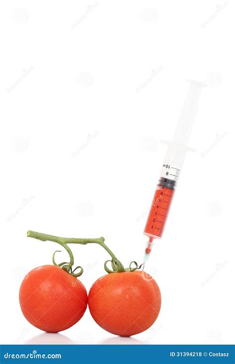 Genetically Modified Tomato Stock Photo Image Of Genetics Change