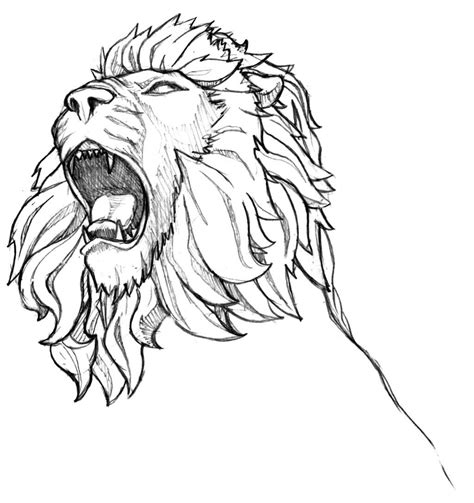 Roaring Lion Head Sketch