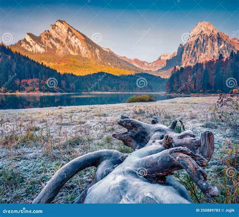 Calm Morning View Of Obersee Lake With Brunnelistock Peak Stock Image