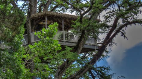 Maybe you would like to learn more about one of these? 12 Tempting Tree House Cabins in Texas - Flavorverse