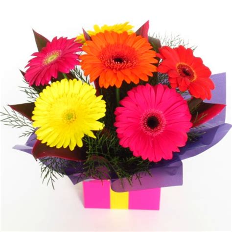 Colourful Gerbera Box Cairns Florist