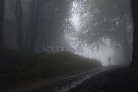 Mens In Een Bos Met Mist Stock Foto Image Of Avond Nacht 20980846