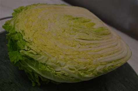 Wombok Chinese Cabbage Each Your Local Butchers