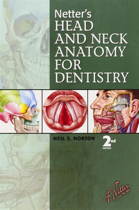 Netters Head And Neck Anatomy For Dentistry Neil S Norton Amazon