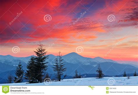 Winter Landscape At Sunset Stock Image Image Of Country