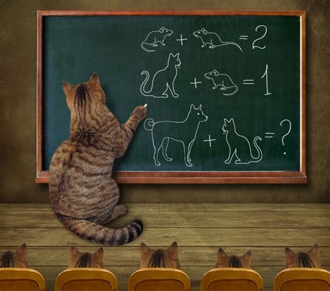 Cat Teacher And His Pupils By Irina Kusnetsova Photo 198696433