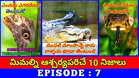 Top 10 Interesting Facts In Telugu Unknown And Amazing Facts In