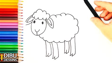 Dessine les coloriages lapin simple de dessin et coloriage en ligne pour enfants. Comment dessiner un Mouton | Dessin de Mouton - YouTube