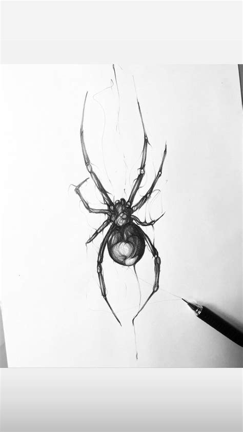 A Black And White Photo Of A Spider On Paper With A Pencil In It S Mouth
