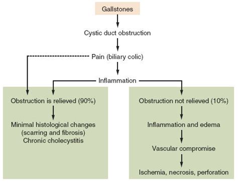 The exact cause of acute appendicitis is unclear, but luminal obstruction, diet and intussusception acute cholecystitis perforated peptic ulcer gastroenteritis mesenteric adenitis terminal ileitis. SurgicalCORE | Table/Figure