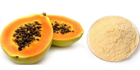 A Grade 100 Pure And Natural Spray Dried Papaya Fruit Powder At Best