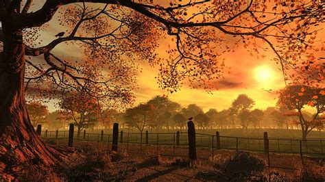 Superb Autumn Sunset Hd Wallpaper Pxfuel