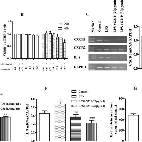 Inhibition Of Thp 1 Cells Viability Il 8 And Cxcr12 Receptors