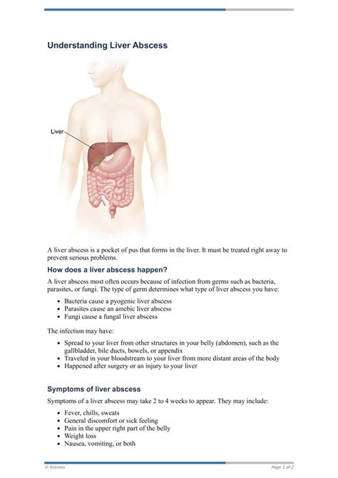 PDF Understanding Liver Abscess HealthClips Online