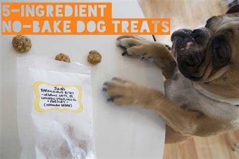 Healthy 5 Ingredient No Bake Dog Treat Recipe Barkpost