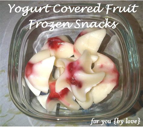 Frozen Snack Yogurt Covered Fruit Food Frozen Snack Yogurt Covered