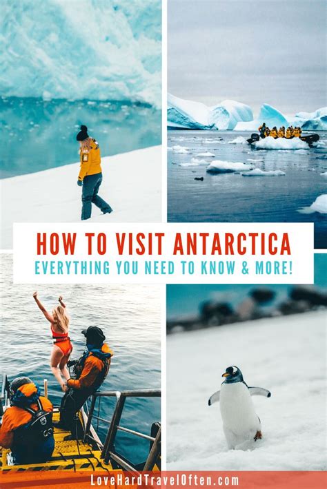 Antarctica Travel How To Visit Which Cruise And Everything You Need To