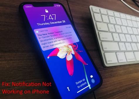 Are you meeting no sound problems on your iphone? Notification Not Working on iPhone 11 (Pro Max)/XS Max/XR ...