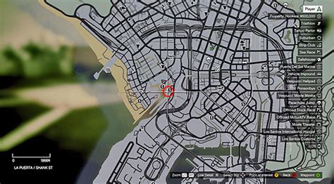 Targeted Risk Grand Theft Auto V Game Guide