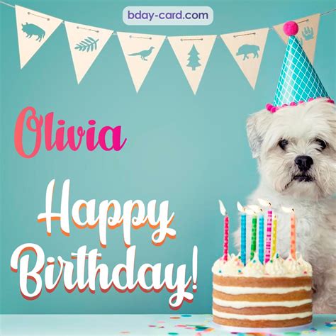 Birthday Images For Olivia 💐 — Free Happy Bday Pictures And Photos