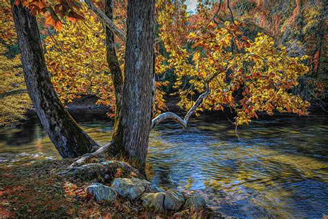 Floating Slowly Past Blue Ridge Mountains Autumn Stream Photograph By