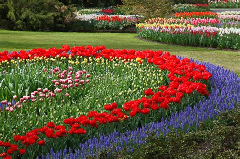 Flower Garden Free Stock Photo Public Domain Pictures