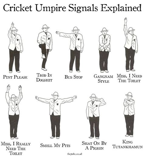 Cricket Umpire Signals Explained Cricket Tips Cricket Coaching