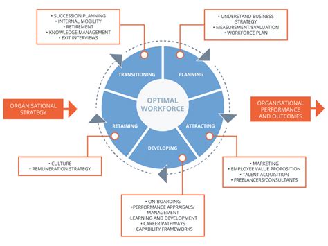 What Is Talent Management Model Strategy Process 2022