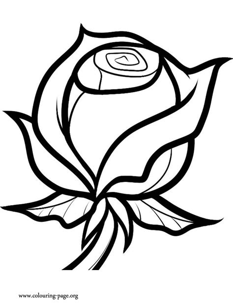 Coloring coloring pages flowers and hearts. Valentine's Day - A Valentine Rose coloring page