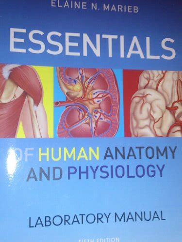 Essentials Of Human Anatomy And Physiology Laboratory Manual Marieb