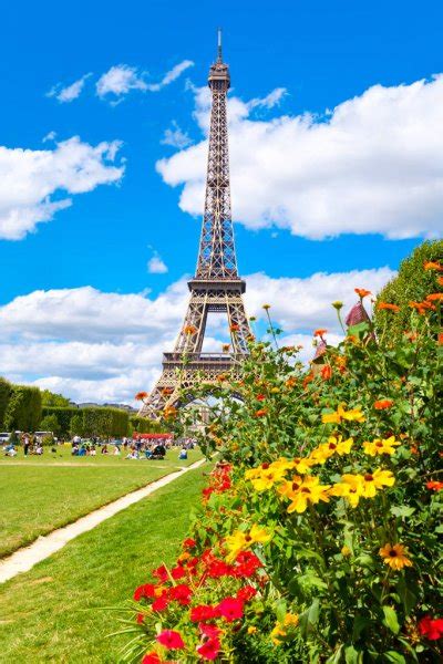 The Eiffel Tower And Flowers On A Beautiful Summer Day In Paris — Stock