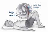 Images of Muscle Kegel Exercise