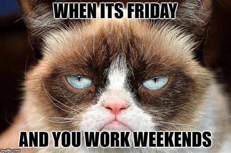 Happy Friday Work Meme Cat