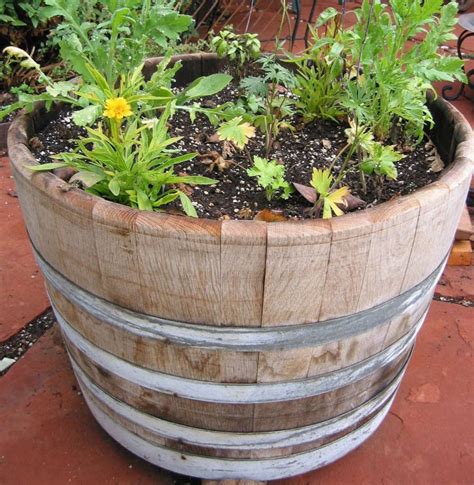 Half Wine Barrel Planter Gardenista