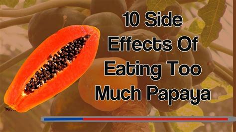 How Much Papaya To Eat Daily Hutomo