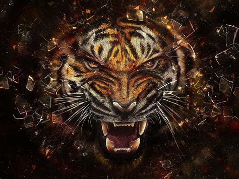 Cool Tiger Backgrounds