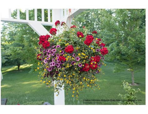 What to do with potting soil at the end of the season? Compost revives old soil in flower pots, naturally | Make ...