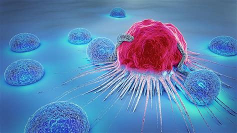 A Rare Tp53 Mutation Can Increase Risk Of Several Cancers Health Units