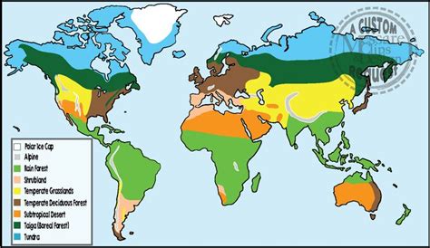 Maps Biomes Of The World Messare Clips Design Cartografia Mapa