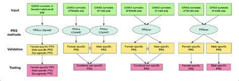 overview of the 11 prss considered the inputs are female specific download scientific