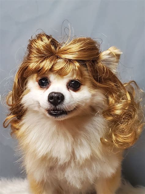 Pet Wig Brown Color For Dog Or Cat Etsy Pets Dogs Cats