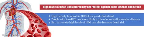 High Levels Of ‘good Cholesterol May Not Prevent Heart Disease
