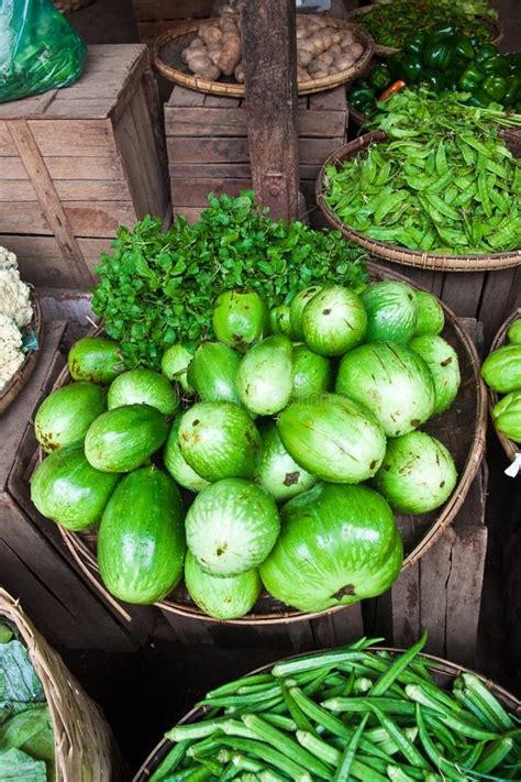 Bagan Stock Image Image Of Fresh Vegetables Green 16791203